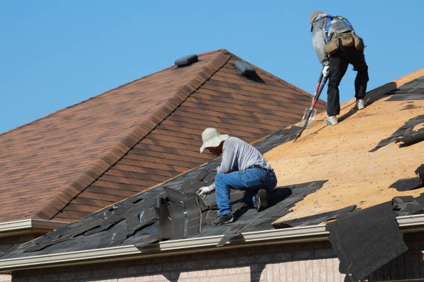 Best Roof Maintenance and Cleaning  in Jennerstown, PA